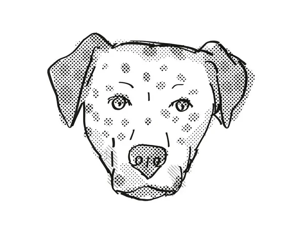 Bullmatian Σκυλί Φυλή Cartoon Retro Σχέδιο — Φωτογραφία Αρχείου