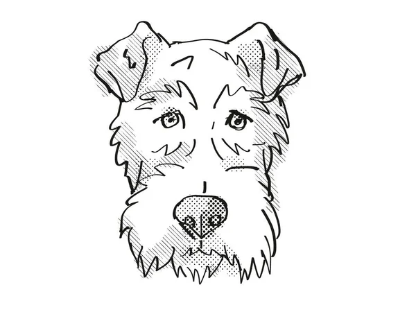 フォックステリア犬繁殖漫画レトロな図面 — ストック写真