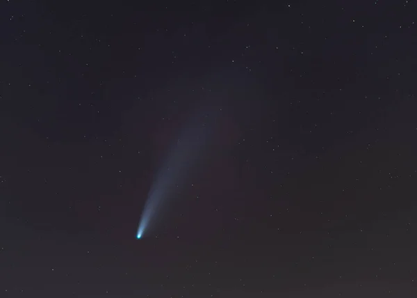 Komeet Neowise Aan Nachtelijke Hemel — Stockfoto
