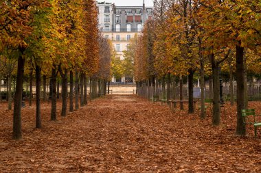 Tuileries Bahçelerindeki Yol