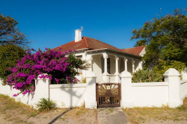 Cape Town, Güney Afrika 'daki cennet gibi Claremont' ta bir kulübe.