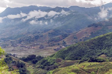 Pirinç tarlası terasları. Bulutlardaki dağ manzarası. Sapa, Lao Cai Eyaleti, Kuzeybatı Vietnam