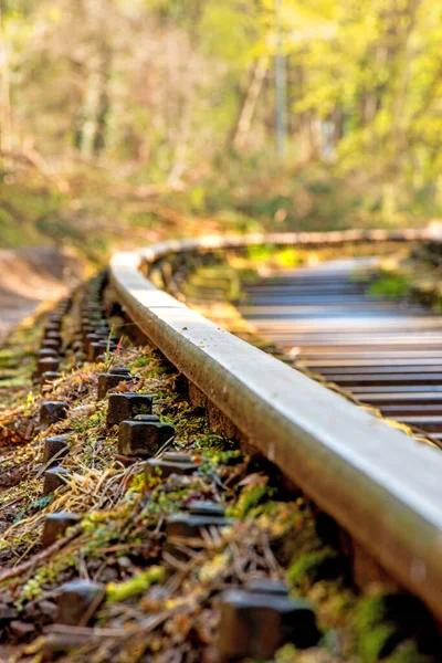 rails out of order in a forest in Poland, deep angle