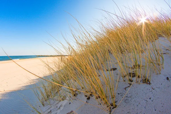 波罗的海海滩与海滩草和公园长凳在后面光 — 图库照片