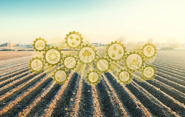 一个冬季农场的未来主义创新技术象形文字 农业农产企业 技术改进的发展 通过种植更有抵抗力的作物来增加耕作季节 — 图库照片