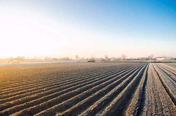 Teren Agricol Iarnă Gata Pentru Noul Sezon Plantare Agricultură Agrobusiness — Fotografie, imagine de stoc