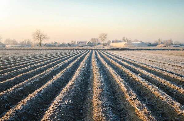 Winter Farm Field Ready New Planting Season Agriculture Agribusiness Choosing — Stock Photo, Image