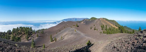 Vista Panorámica Del Paisaje Volcánico Con Exuberantes Pinos Verdes Coloridos —  Fotos de Stock