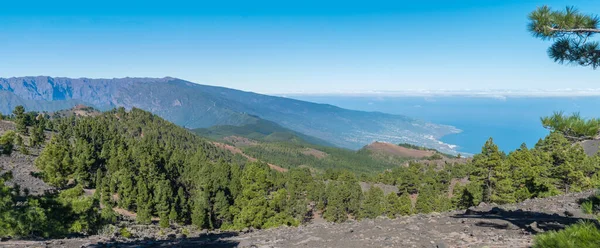 Vista Panorámica Del Paisaje Volcánico Con Exuberantes Pinos Verdes Coloridos — Foto de Stock