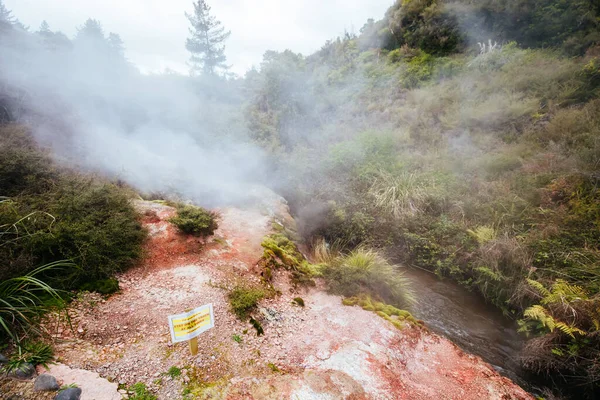 Wairakei Natural Thermal Valley New Zealand — Stock Photo, Image