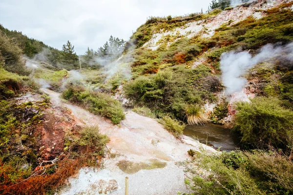 Wairakei Natural Thermal Valley Nueva Zelanda — Foto de Stock