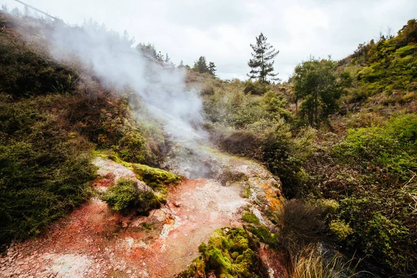 Wairakei Natural Thermal Valley Nueva Zelanda — Foto de Stock