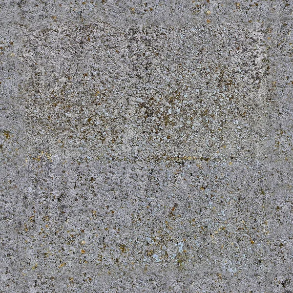 Seamless Texture Concrete Wall Background — Fotografia de Stock