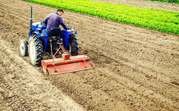 农民用铣床驱动拖拉机 研磨和搅拌种植园中的土壤 新作物种植的田间准备工作 松懈的表面 — 图库照片