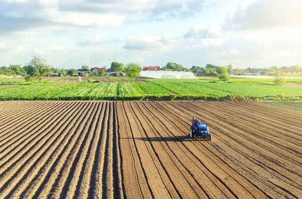 Bir Tarlada Traktör Sürüyor Değirmen Makinesi Olan Bir Traktördeki Çiftçi — Stok fotoğraf