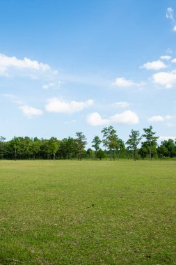 Yeşil çim alan ile Park