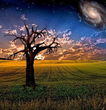 Gerçeküstü Alan, soyut kavramsal illüstrasyon