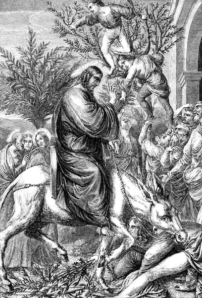 An engraved vintage New Testament Bible illustration image, vintage engraving