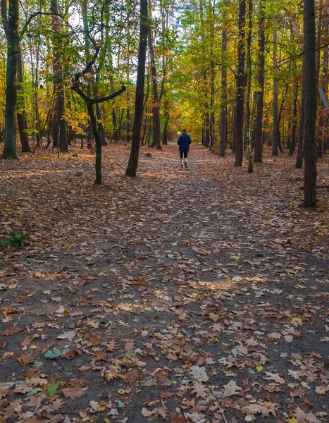 秋天在森林路上穿蓝色夹克跑步的人 — 图库照片