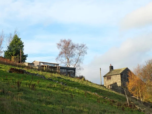 Eski Taştan Bir Çiftlik Evi Batı Yorkshire Kırsalında Ağaçlarla Taş — Stok fotoğraf