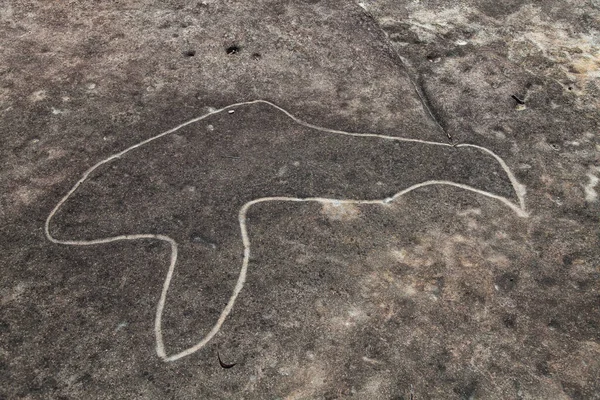 Trawy Dharawal Lub Petroglify Bundeena Nsw Australia — Zdjęcie stockowe