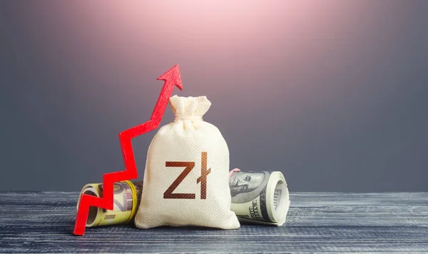 Polish Zloty Money Bag Red Arrow Growth Economy Increase Investment — Stock Photo, Image