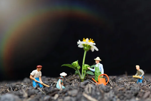 Pessoas Miniatura Jardineiros Cuidar Plantas Crescimento — Fotografia de Stock
