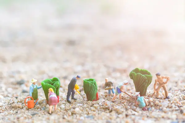 Miniatuur Mensen Tuiniers Oogsten Een Groente — Stockfoto
