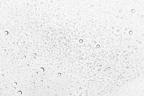 Regn Droppar Glas Bakgrund — Stockfoto