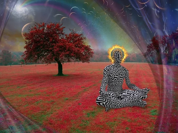 Surreale Abstrakte Rendering Kunst Mystische Meditation Des Menschen Der Natur — Stockfoto