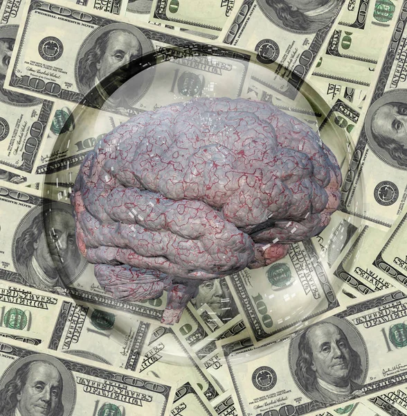 Money Brain Abstract Conceptual Illustration — Stock Photo, Image