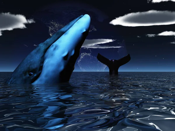 Whale Conceptual Abstract Illustration — Stock Photo, Image