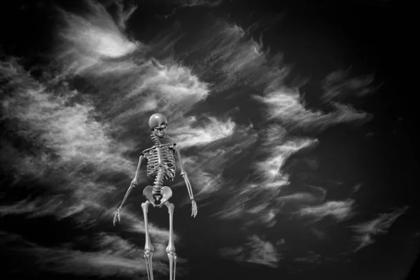 雲のスケルトン 概念的な抽象的なイラスト — ストック写真