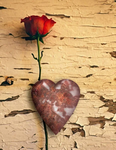 Zrezivělá Láska Růží Konceptuální Kreativní Ilustrace — Stock fotografie