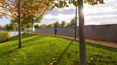 Yeşil çim ve Ağaç Parkı