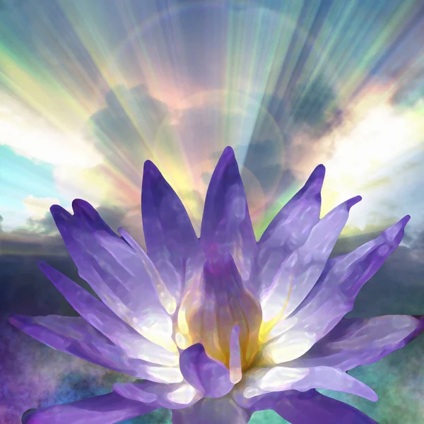 Bloeiende Waterlelie Lotus Bloem Illustratie — Stockfoto