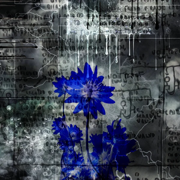 蓝色花朵 概念摘要说明 — 图库照片