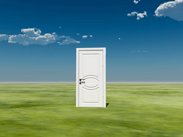 Single Door Conceptual Abstract Illustration — Stock Photo, Image