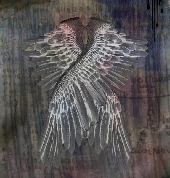 Angel Wings Conceptual Abstract Illustration — Stock Photo, Image