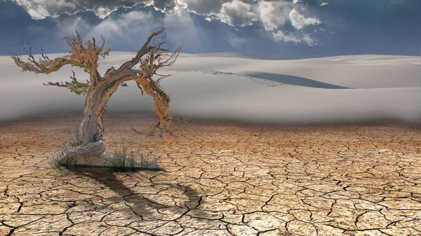 Dead Tree Desert Abstract Conceptual Illustration — Stock Photo, Image