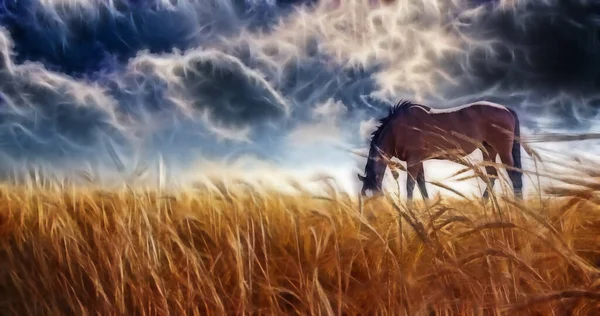 嵐の空と野原で放牧する馬 — ストック写真