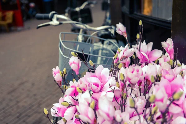 Composite Image Concept Illustration Bicycle Flowers — Stock Photo, Image