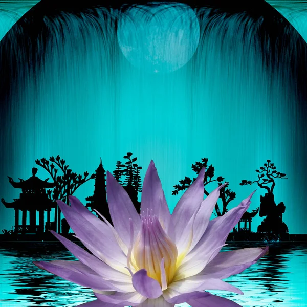 Blühende Seerose Lotusblume Illustration — Stockfoto