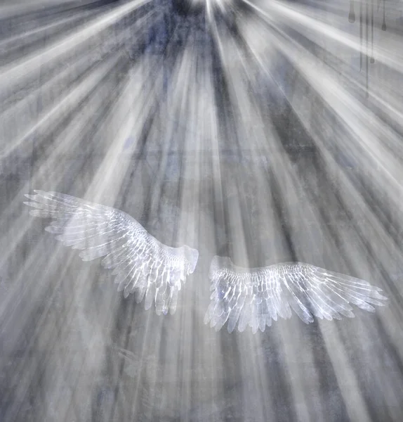 Işıkta Beyaz Kanatlar Kavramsal Soyut Çizimler — Stok fotoğraf