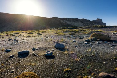 Vik İzlanda çevre Beach