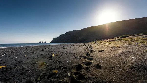 Playa Cerca Vik Islandia — Foto de Stock