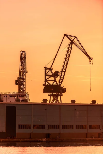 Industrial Cargo Cranes Dock — Stock Photo, Image