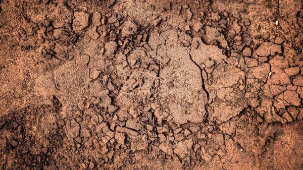 Dry Soil Closeup Rain — Stock Photo, Image