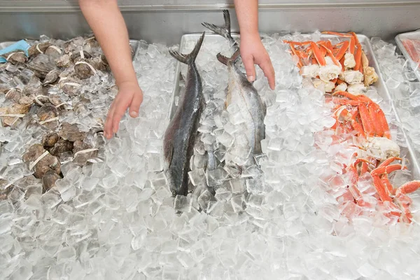 Close-up of mixed fish in ice at market