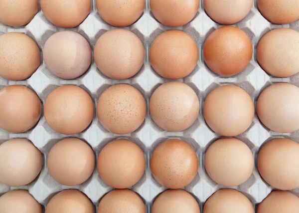 Full Frame Shot Brown Eggs Arranged Carton — Stock Photo, Image